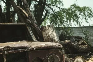 Njemačka se rješava rabljenih auta: Krntije tražene u Africi, dizelaši na istoku Europe