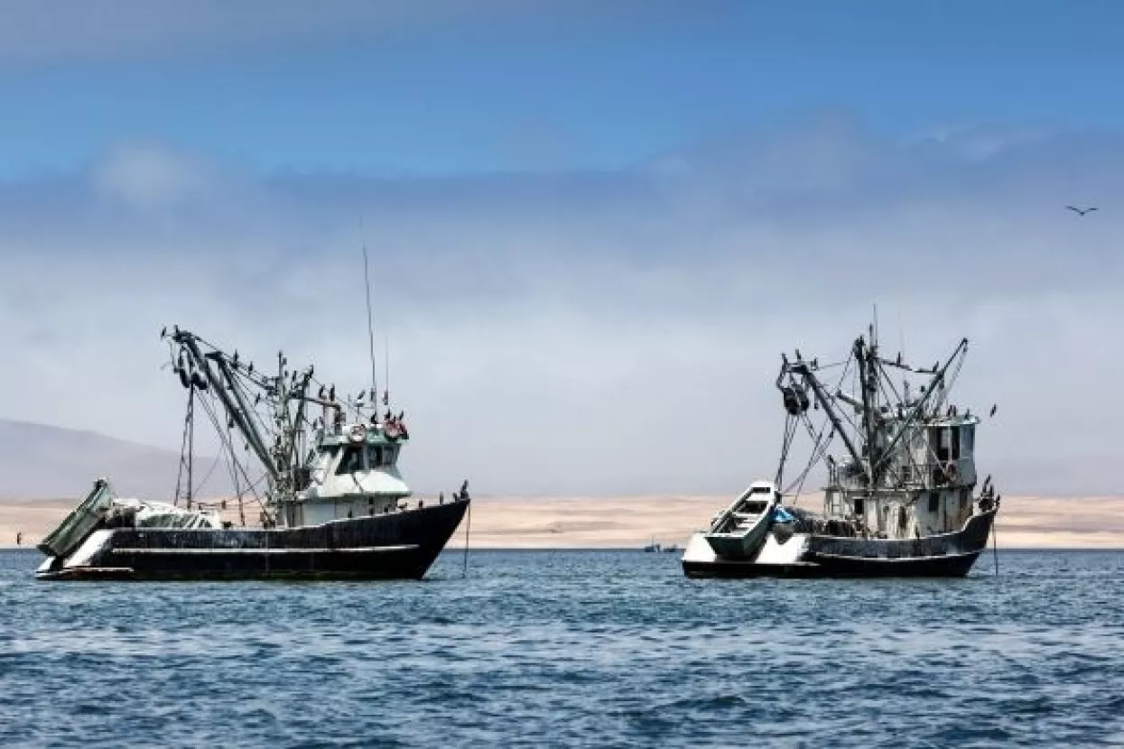 Slovenska vlada plaća odštetu svojim ribarima jer ne mogu loviti u Savudrijskoj vali
