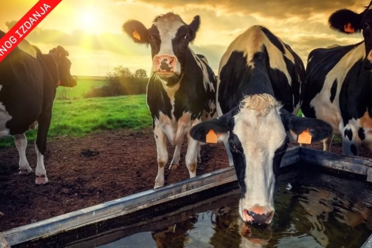 Pravda za sve: Ako na livadi nema stoke, nema ni novca iz Ruralnog razvoja