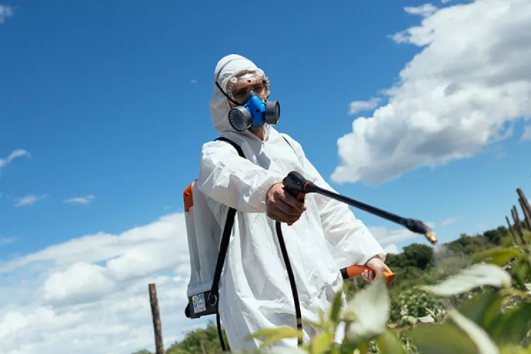 Američki sud zabranio upotrebu pesticida klorpifirosa