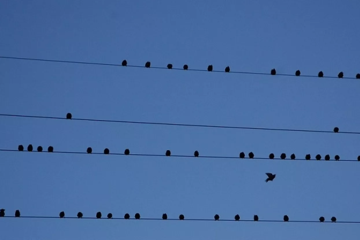 Pada broj dolazaka ilegalnih migranata u Europu, 43 posto manje prijelaza