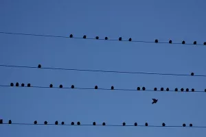 Pada broj dolazaka ilegalnih migranata u Europu, 43 posto manje prijelaza