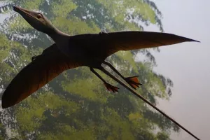 Otkrivena nova vrsta pterosaura, prvog kralješnjaka koji je mogao letjeti