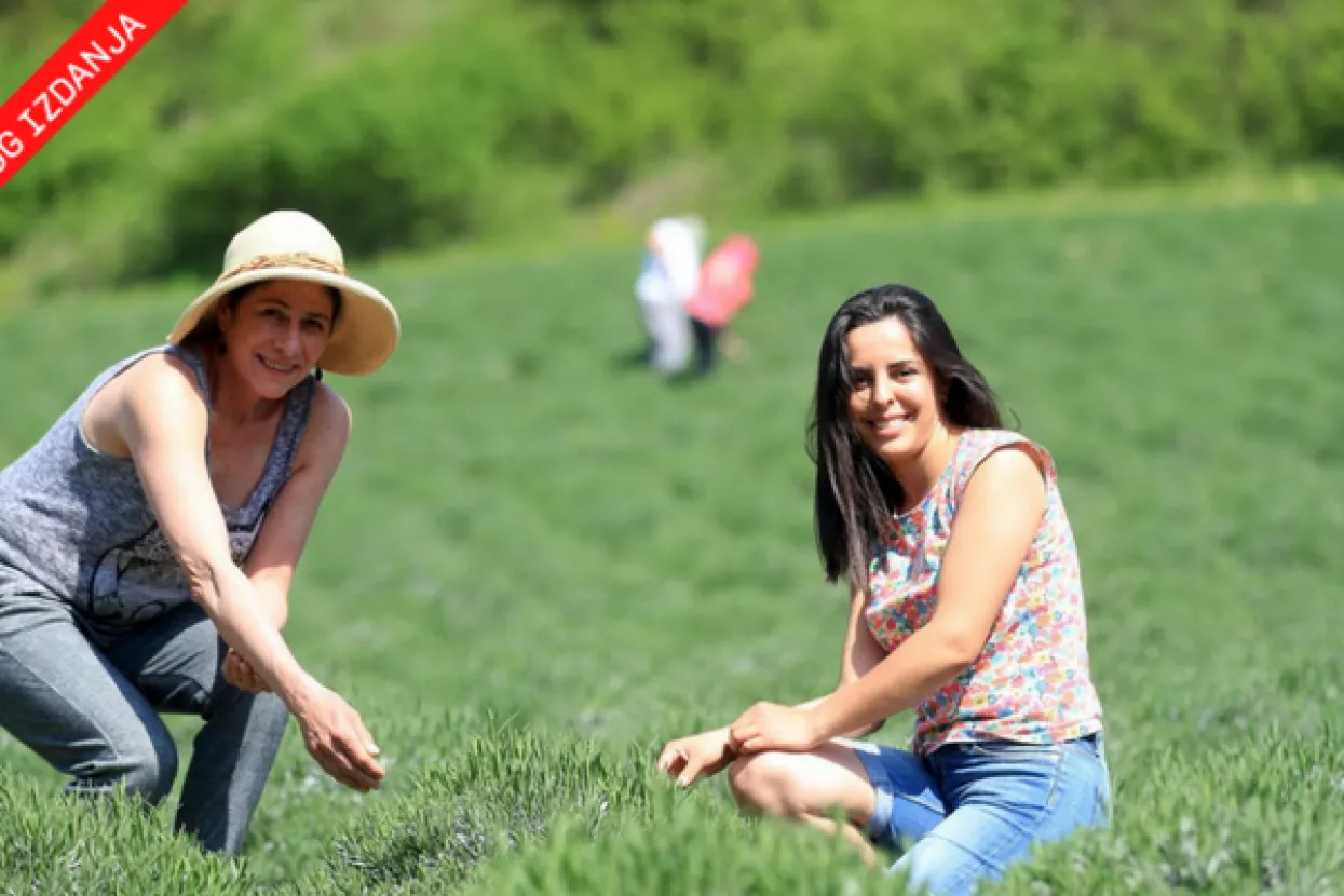 Kolumbijski projekt na ljubavni pogon