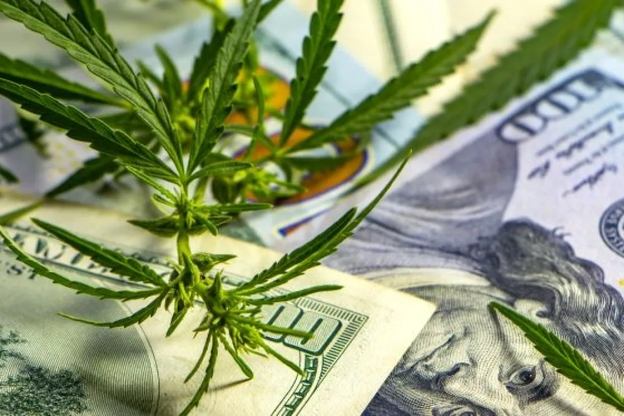 Najveća investicija u biznis s cannabisom – vlasnik piva Corona ulaže 4 milijarde dolara