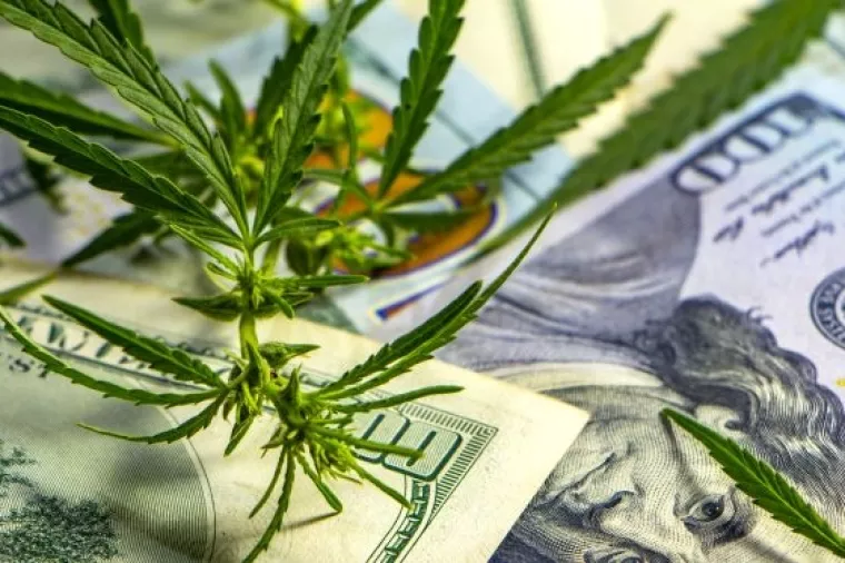 Najveća investicija u biznis s cannabisom – vlasnik piva Corona ulaže 4 milijarde dolara