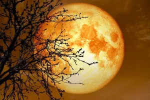 Otkrivena voda na Mjesecu