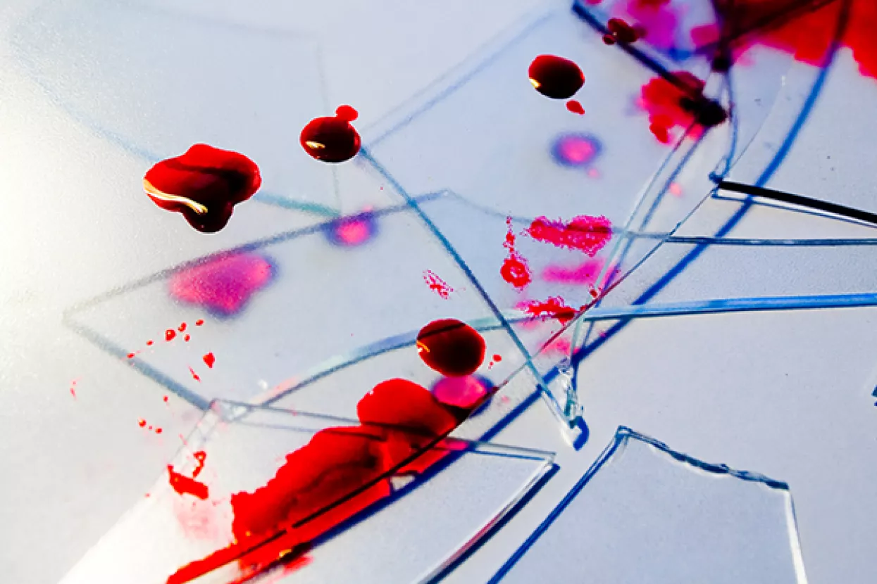 Miodrag Šajatović: Treća četvrtina Vladina mandata - počelo pranje prozora sjekirom