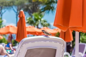 Ivana Kolar: Šteta što se igralo cijenama, a nije se razvijalo turističku ponudu