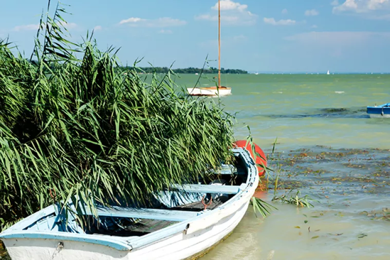Crni oblaci nedostatka radnika nadvili su se i nad Balatonom, Vlada želi angažirati umirovljenike