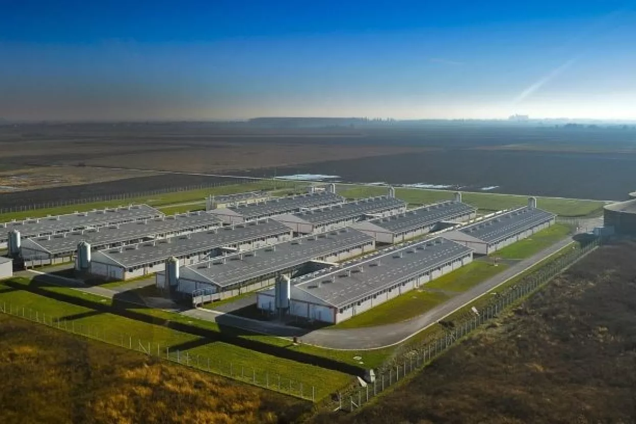 Ledo, Zvijezda, Jamnica i Belje poslovali s dobiti u prvom polugodi&scaron;tu