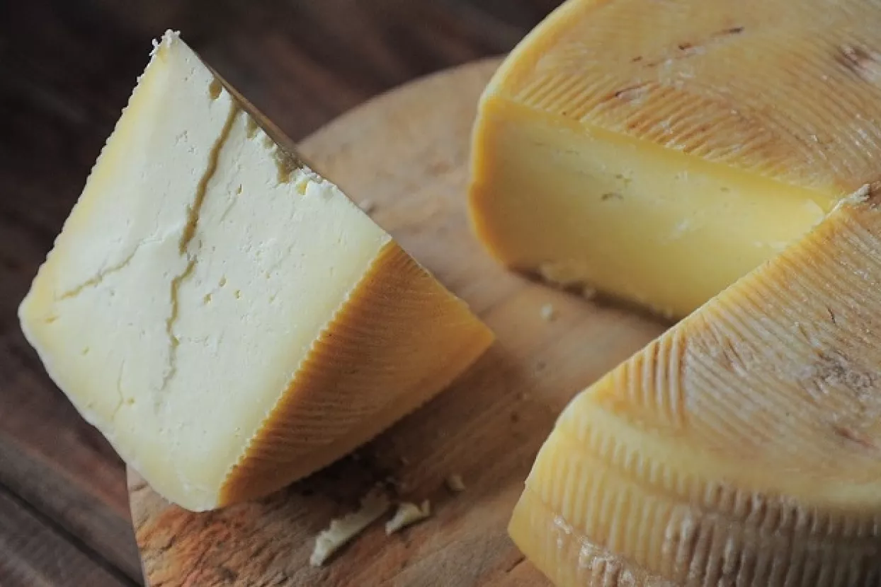 Znanstvenici u Dalmaciji prona&scaron;li tragove najstarijeg svjetskog sira