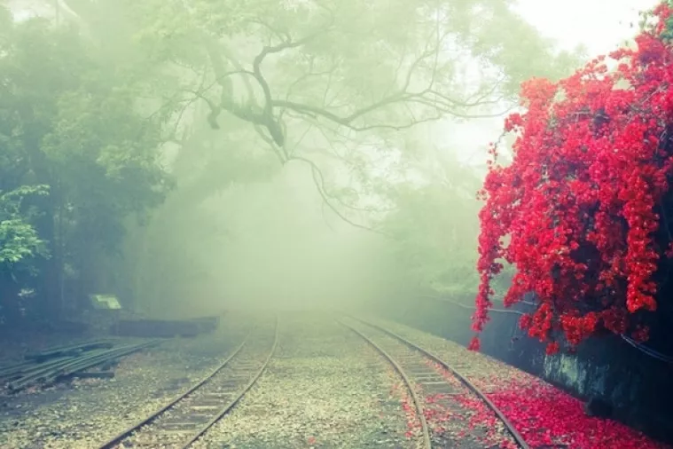 Klimatske promjene štete plućima - znanstvenici