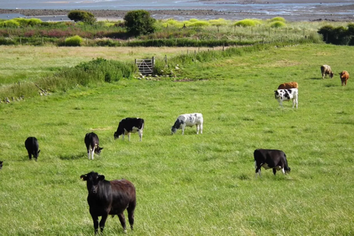 Tolu&scaron;ić: Tko ne posjeduje stoku, vi&scaron;e neće moći zakupiti &scaron;umsko zemlji&scaron;te