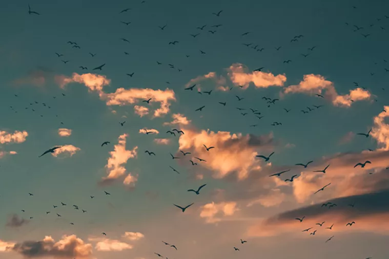 Većina država EU ne brine dovoljno o kvaliteti zraka