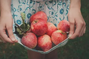 Opasnost od rušenja cijena jabuka zbog velikog izvoza iz Poljske