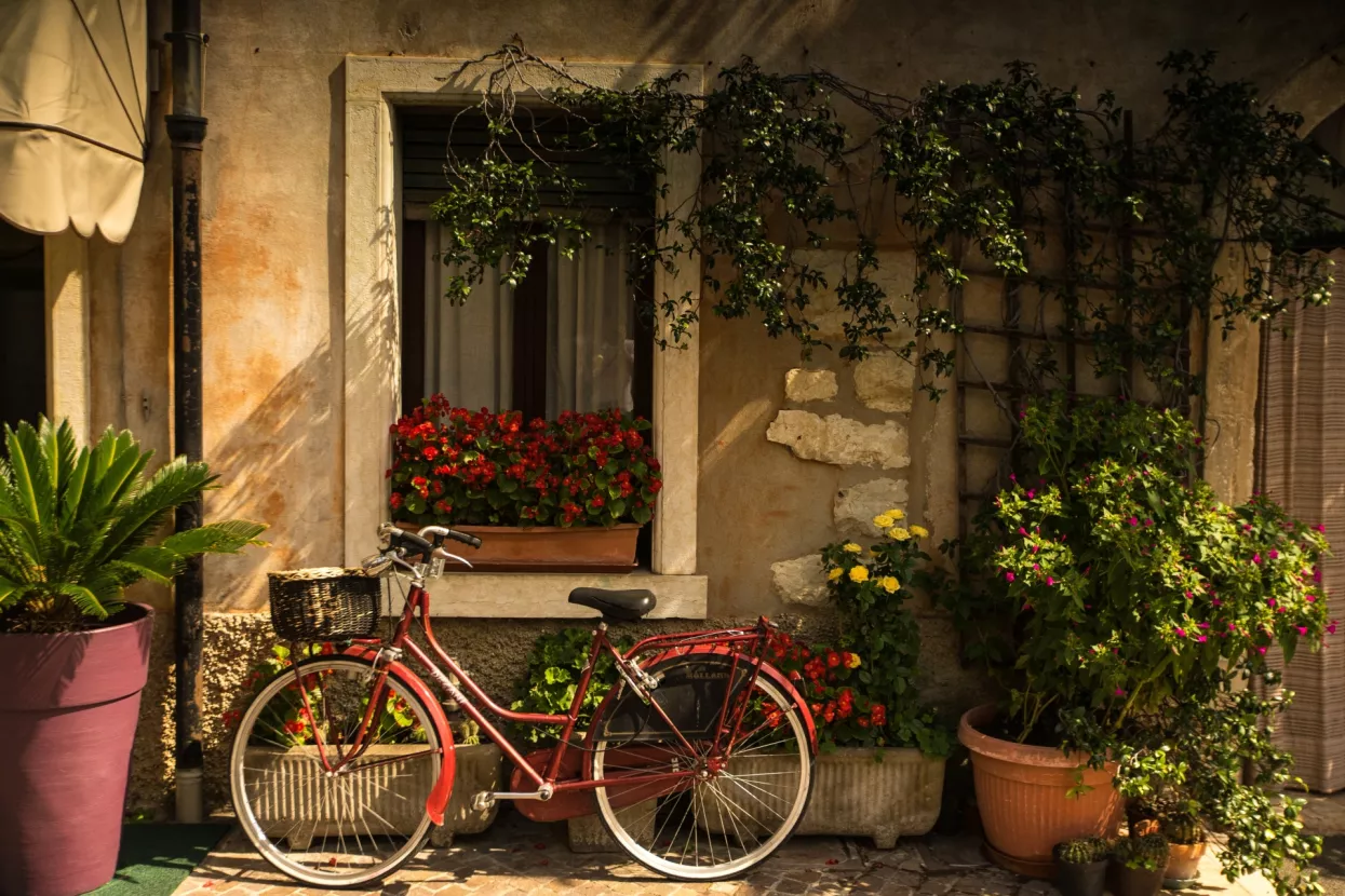 Pelene u Nizozemskoj 'reinkarniraju se' u plastične posude za cvijeće