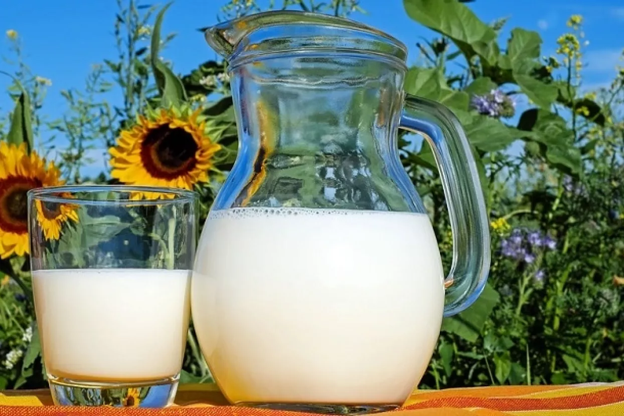 DZS: OPG-ovi lani proizveli 7,3 posto manje mlijeka