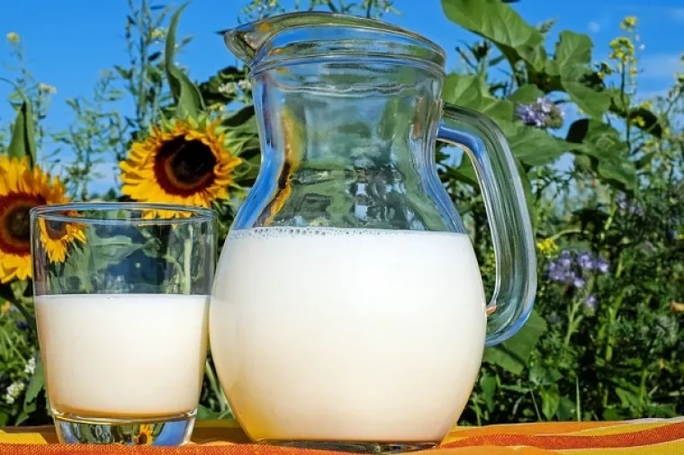 DZS: OPG-ovi lani proizveli 7,3 posto manje mlijeka