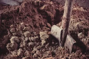 Nedostatak radne snage: Komunalna poduzeća 'dušu bi dala' za grobare