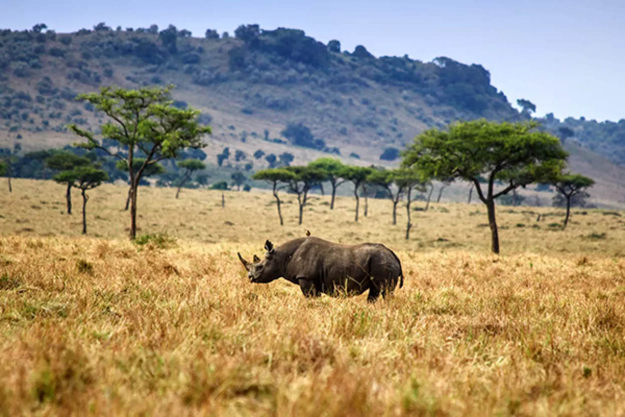 'Ekološki kriminal' postao glavni izvor prihoda organiziranom kriminalu