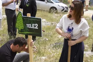 Počinje 'Boranka'- najveća volonterska akcija pošumljavanja opožarenih područja Dalmacije