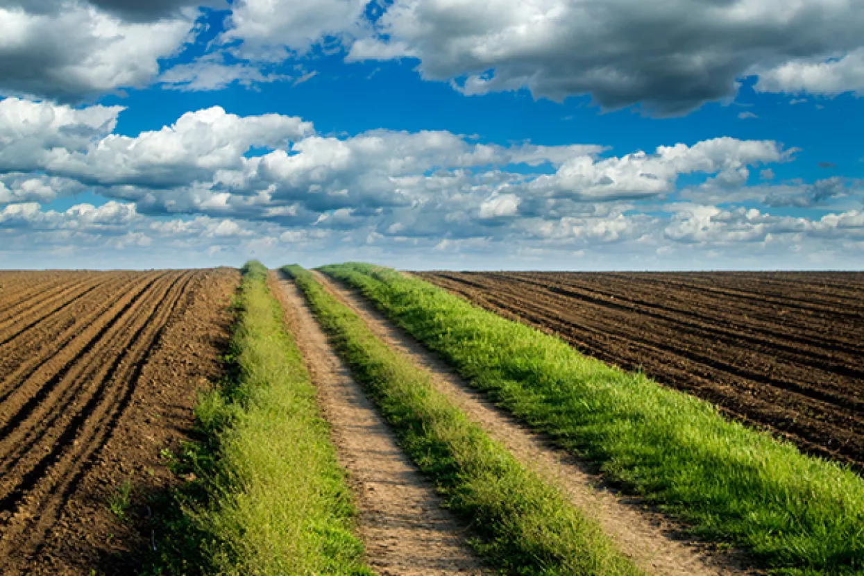 DZS: Prosječna cijena hektara oranica lani porasla na 22.428 kuna