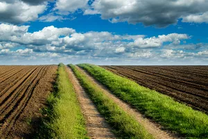 DZS: Prosječna cijena hektara oranica lani porasla na 22.428 kuna