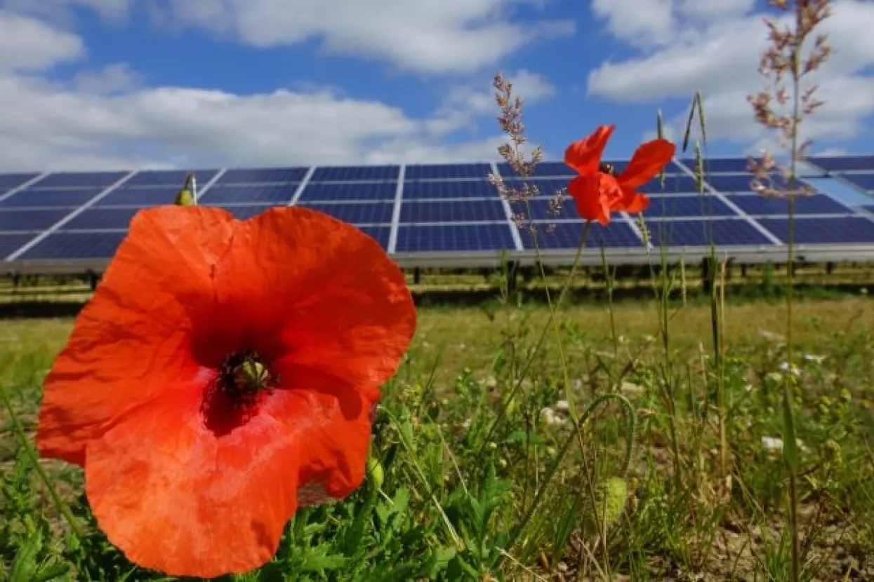 Globalni porast obnovljivih izvora energije - IEA