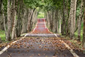 Novo zapošljavanje u javnim službama moguće i u području zaštite prirode