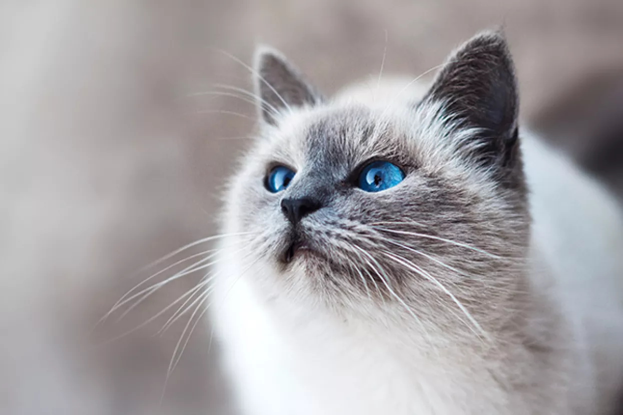 Svjetlana Logunova ima jedan od najcool poslova na svijetu