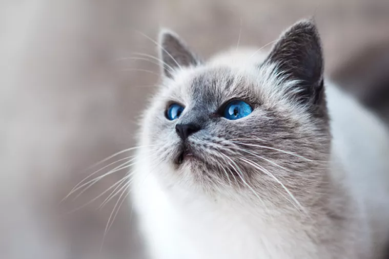 Svjetlana Logunova ima jedan od najcool poslova na svijetu