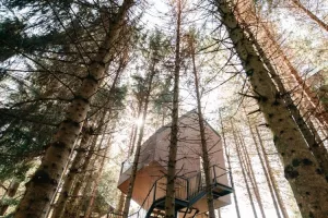 Odmak od užurbanosti u kućicu na drvetu