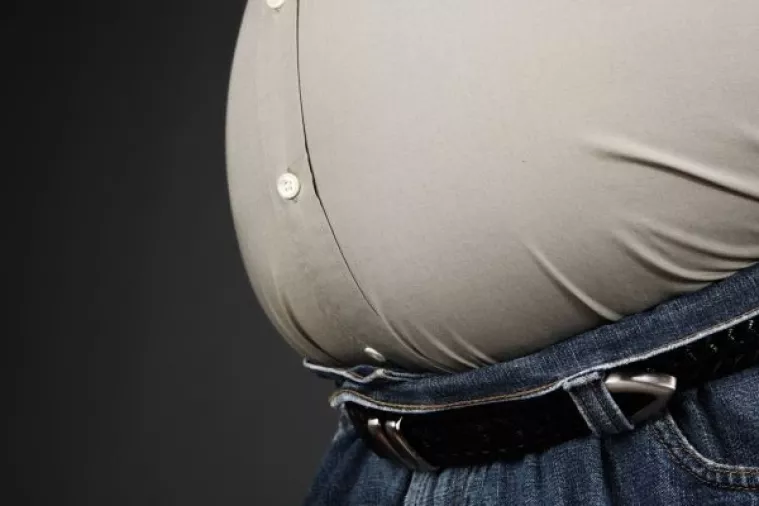 Masni deal njemačke vlade i prehrambene industrije: Manja pakiranja s manje šećera, soli, masti