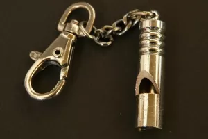 Damir Sabljak otišao iz MVEP-a zbog otkrivanja korupcije ili davanja netočnih informacija?