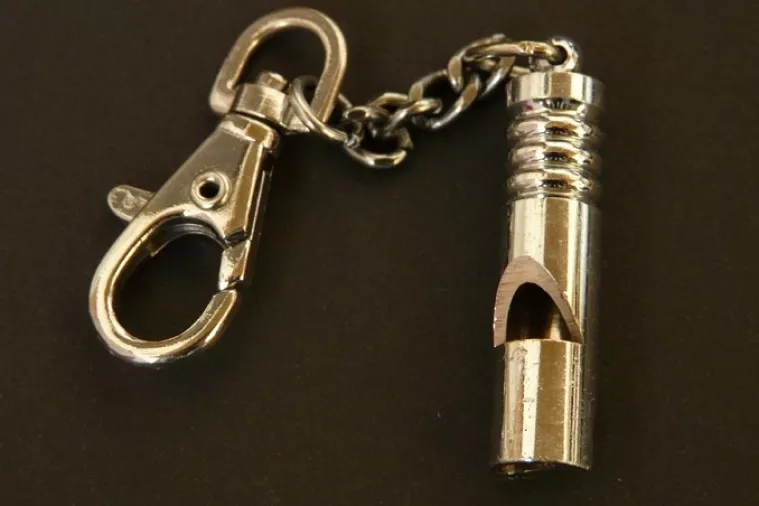 Damir Sabljak otišao iz MVEP-a zbog otkrivanja korupcije ili davanja netočnih informacija?