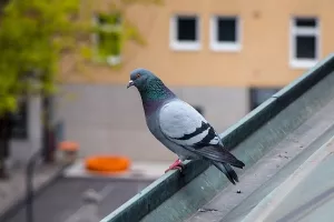 Slovenske banke u prvih osam mjeseci s 368,3 milijuna eura čiste dobiti