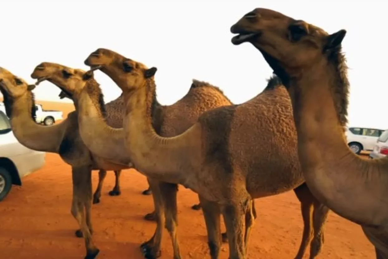 Saudijska Arabija potpisala ugovore vrijedne 50 milijardi dolara