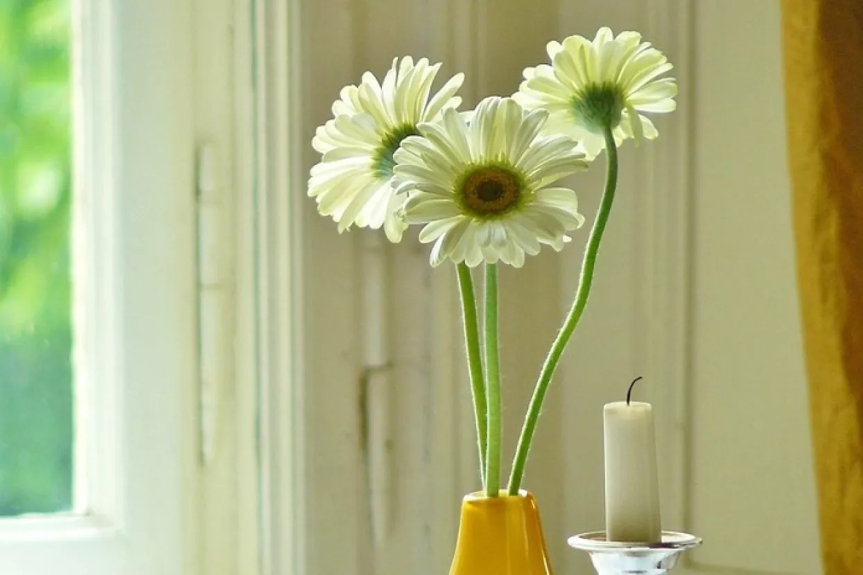 Svi Sveti: Uvoz cvijeća se smanjuje, a uvoz svijeća povećava