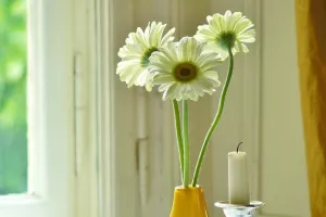 Svi Sveti: Uvoz cvijeća se smanjuje, a uvoz svijeća povećava