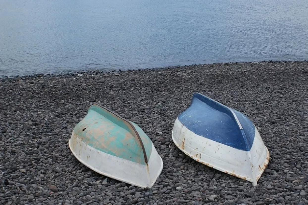 Samir Hadžić i Ranko Svećarovski imenovani članovima NO Uljanika