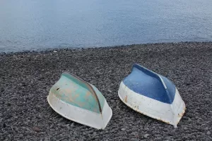 Samir Hadžić i Ranko Svećarovski imenovani članovima NO Uljanika