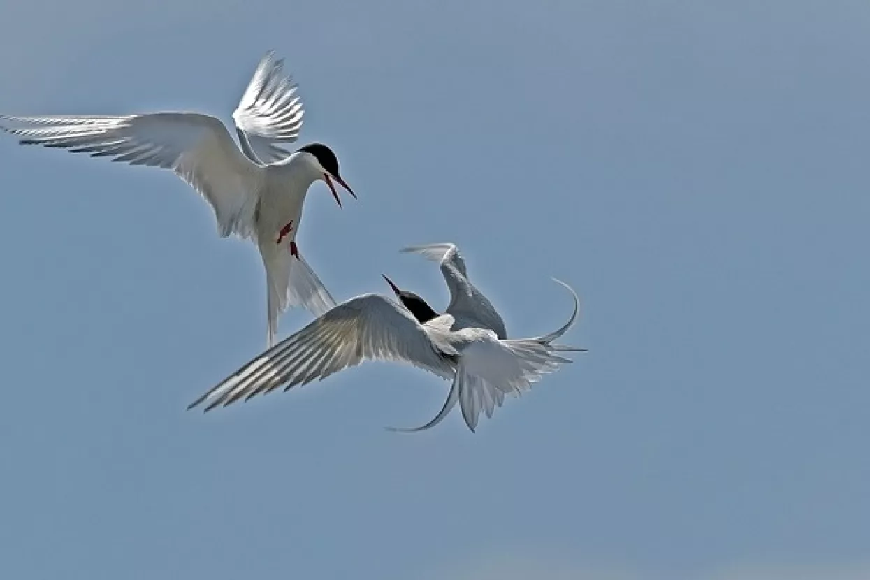 Izrael pozdravlja nove američke sankcije Iranu, EU se protivi
