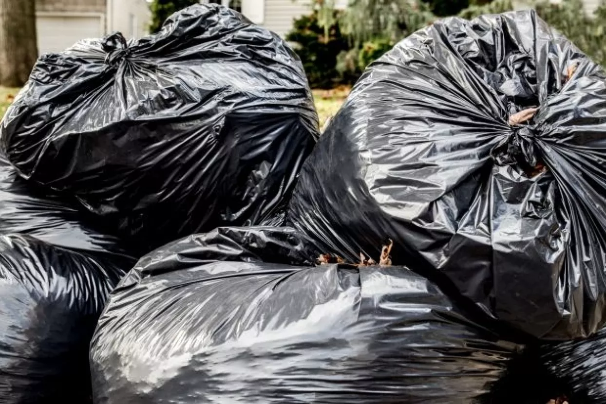 Stojak proziva grad zbog smeća: Zagrepčani su taoci nesposobnosti gradske uprave i Holdinga