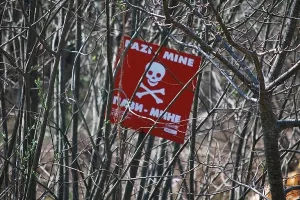 Agencijske agonije: EU nam zavidi na protuminskim agencijama, a mi ih 'miniramo'