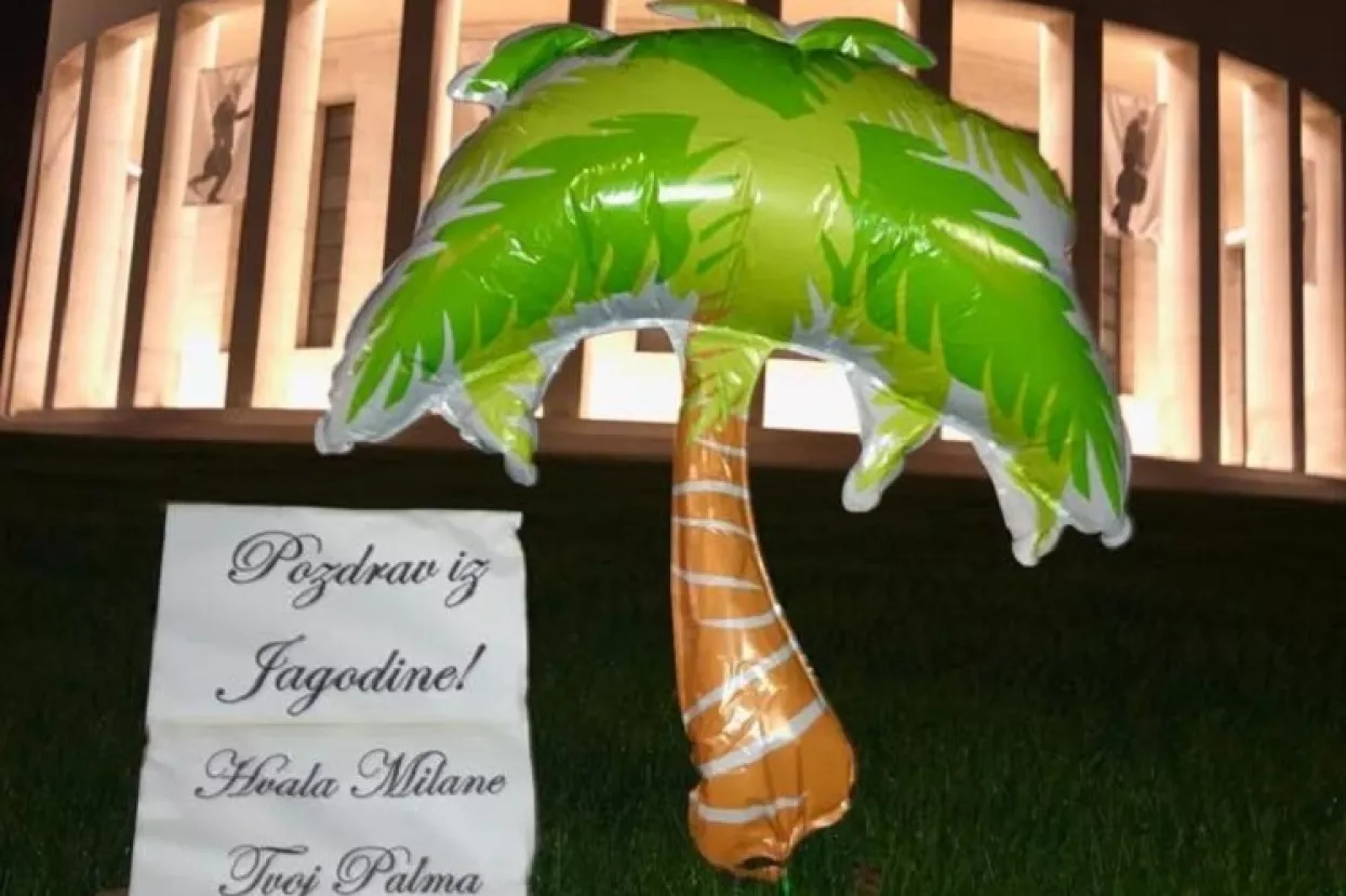 Umjesto magnolija, na Trgu žrtava fašizma niknula - plastična palma