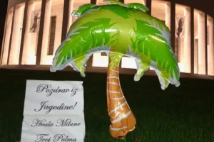 Umjesto magnolija, na Trgu žrtava fašizma niknula - plastična palma