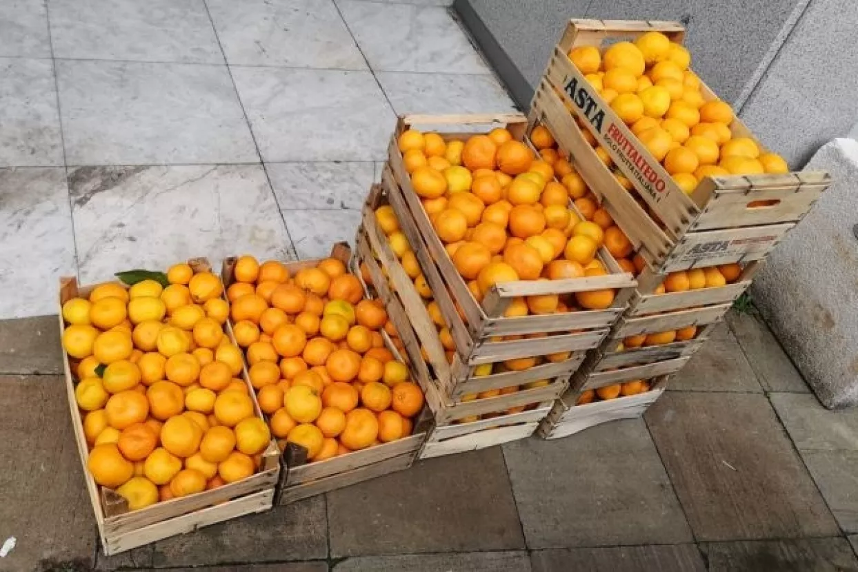 Predizborne aktivnosti: Živi zid priprema još jednu akciju dijeljenja voća domaćih uzgajivača