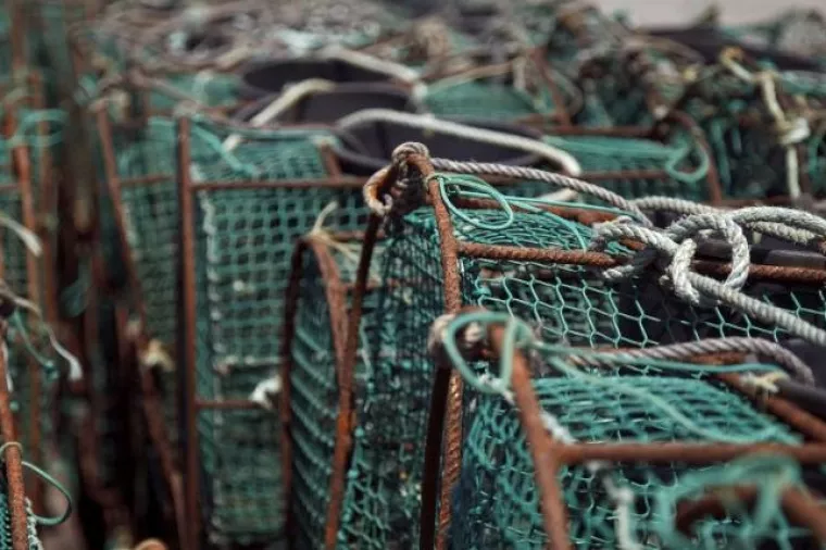 Kvota za izlov tune povećana na 870 tona