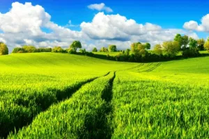 Deutsche Boerse uvodi 'zelene obveznice' za eko investicije